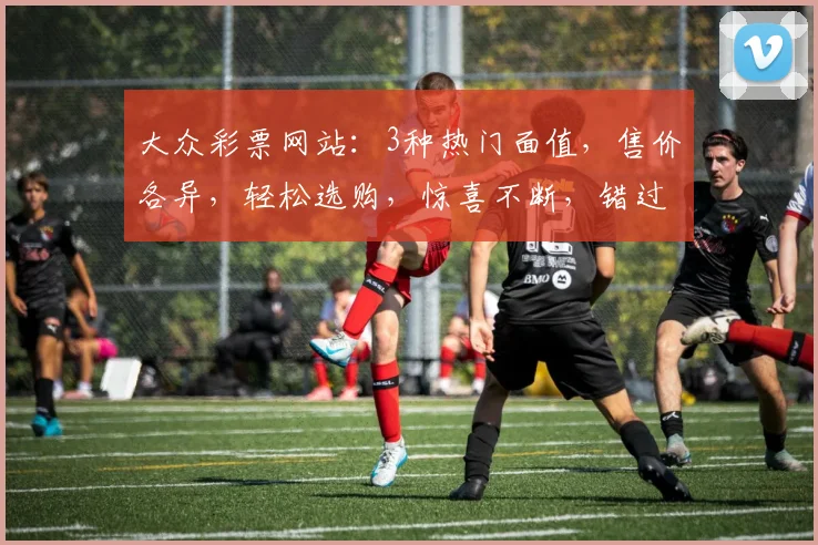 大众彩票网站：3种热门面值，售价各异，轻松选购，惊喜不断，错过不再