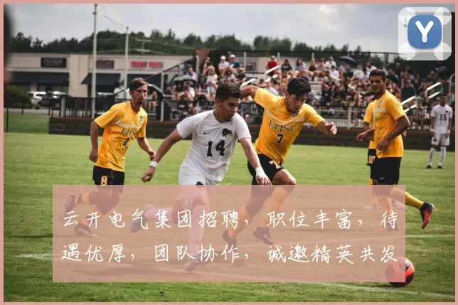 云开电气集团招聘，职位丰富，待遇优厚，团队协作，诚邀精英共发展，三个岗位，等你来挑战